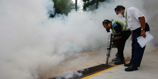 Darurat Zika, Singapura asapi perumahan warga