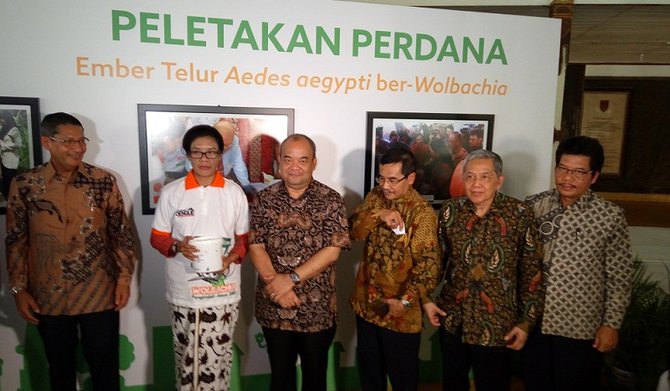 peletakan pertama telur aedes aegypti sudah diinjeksi kandungan bakteri wolbachia