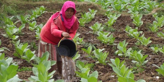 RUU Tembakau harus atur larangan impor bahan baku rokok