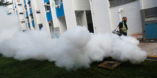 Satu WNI positif terjangkit Zika di Singapura