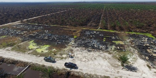 Penampakan ribuan hektare hutan di Riau berubah jadi arang