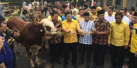 Golkar bagikan 52 hewan kurban, Setnov bilang 'paling dulu cuma 15'