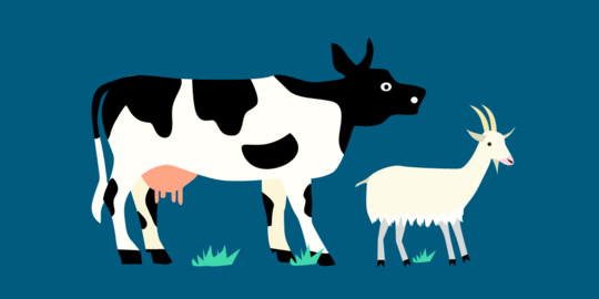 Idul Adha, daging sapi lebih disukai masyarakat dibanding kambing
