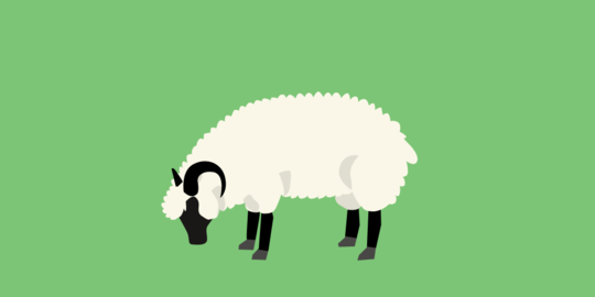 Bobi, kambing yang tak suka rumput dijual seharga Rp 4,2 juta