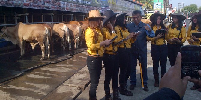 Beli sapi di mal ini pembeli dijamin dengan asuransi 