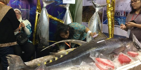 Wow, ikan ini dijual dengan harga Rp 4 juta per ekor