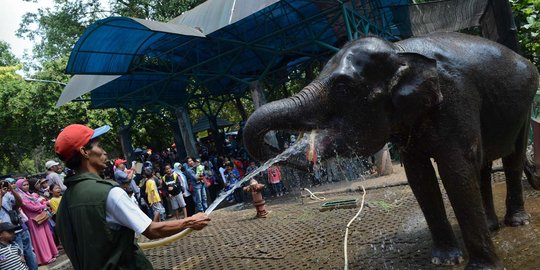 Libur Idul Adha, 289 personel gabungan amankan Ragunan