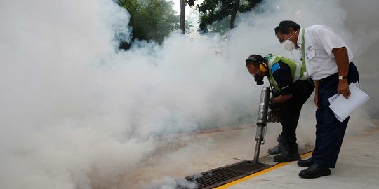 Menkes: Virus Zika tidak mematikan, beda dengan demam berdarah