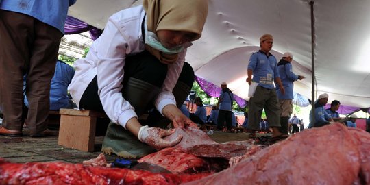 Sapi petinggi Polri akan dibagikan kepada anggota