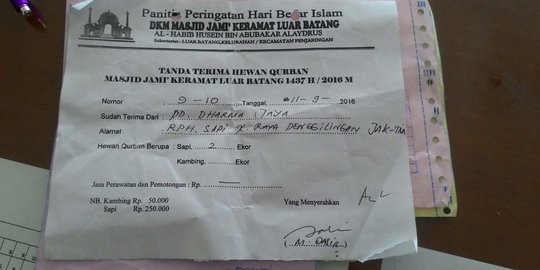 2 Sapi dari Ahok sempat diterima panitia kurban Masjid Luar Batang