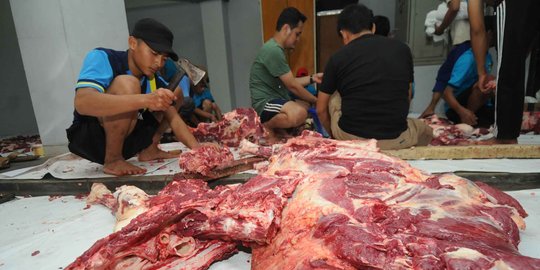 46 Ekor sapi, 7 domba & 4 kambing di Bantul idap cacing hati