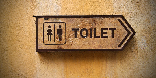 5 Penyakit yang bisa disebarkan lewat sebuah toilet