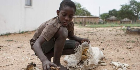Ekonomi sekarat, Zimbabwe pecat 25.000 PNS