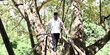 Cerita Menteri Desa jajal jembatan reot di daerah tertinggal