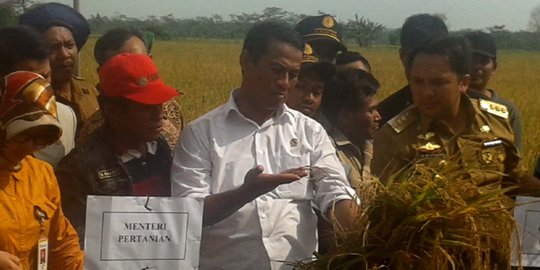 Mentan Amran: cari bibit bawang murah, impor tidak masalah