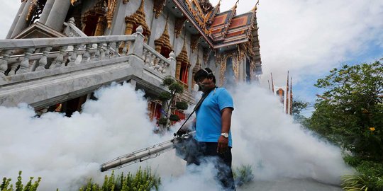 Zika meluas di Thailand, rumah, kuil sampai kampus diasapi