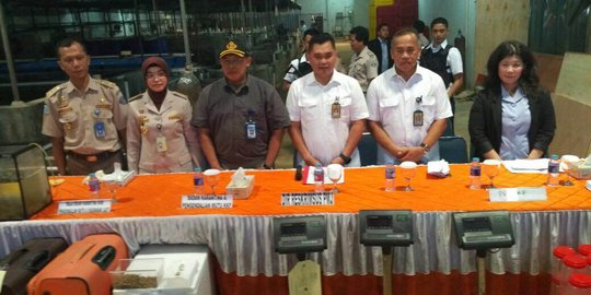 KKP identifikasi 495 ekor lobster hasil tangkapan kepolisian