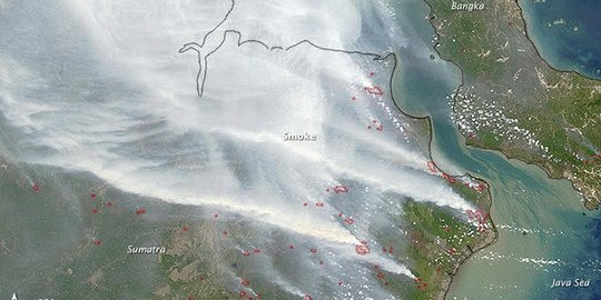 Pantauan NASA, 50 persen titik panas di Sumatera akibat karhutla