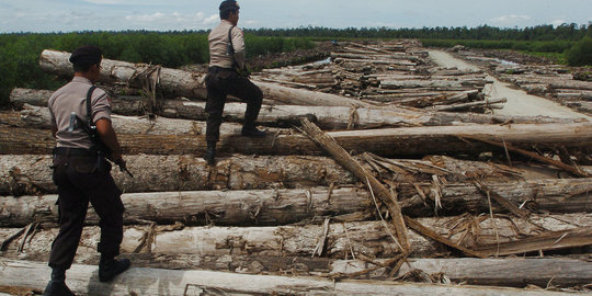 Tak dilengkapi dokumen, 2 sopir dan tukang ukur kayu dibekuk petugas