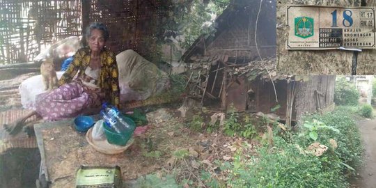 Menyedihkan lihat nenek ini tinggal di gubuk mau roboh