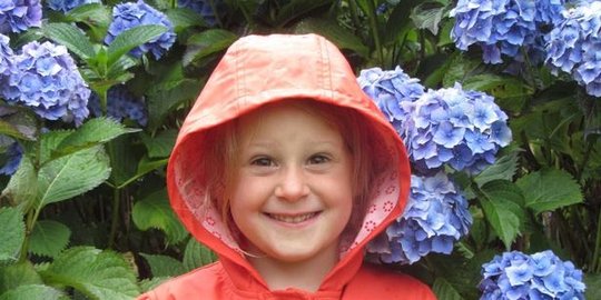 minta sumbangan air bagi afrika sebagai kado ulang tahun