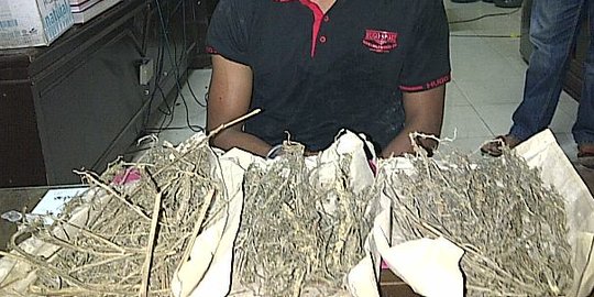 Bawa ganja 120 gram di motor, warga Sumbar diciduk polisi