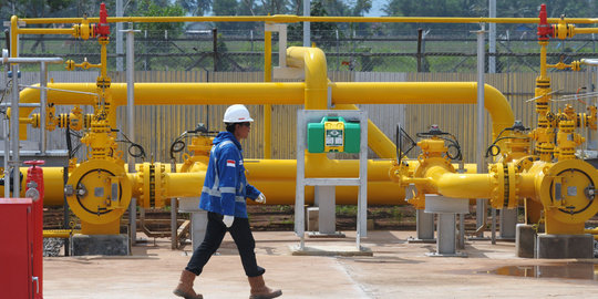 BPK ungkap penyebab harga gas industri di RI terlalu mahal