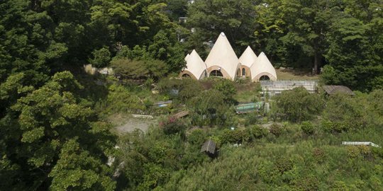 Rumah hutan di Jepang ini lebih mungil daripada rumah Hobbit