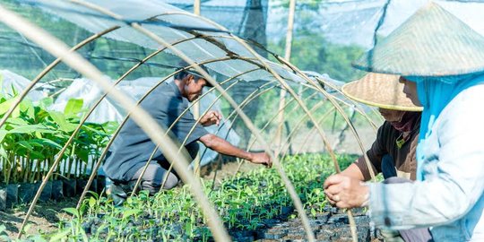 Mentan Amran beri asuransi perkuat daya saing petani