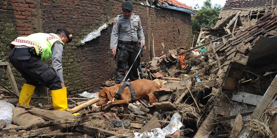 Polda Jabar kerahkan anjing K-9 cari korban hilang banjir Garut