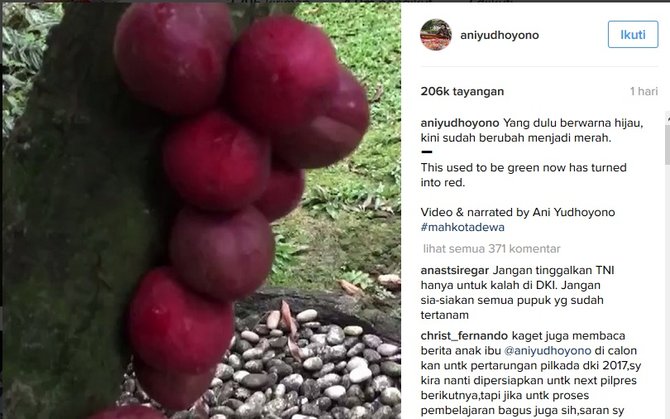 instagram ibu ani yudhoyono