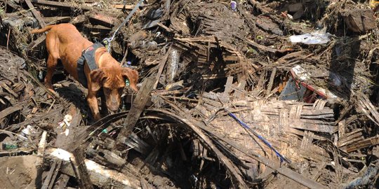 Hari keempat, tim SAR perluas lokasi pencarian korban banjir Garut