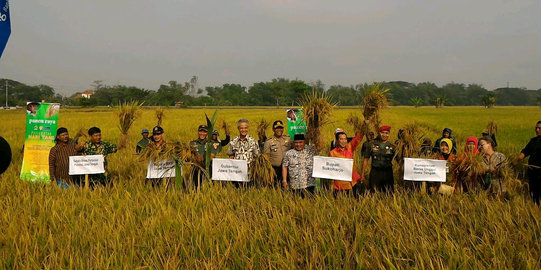 Panen raya, Bupati Sukoharjo doakan Ganjar jadi gubernur lagi