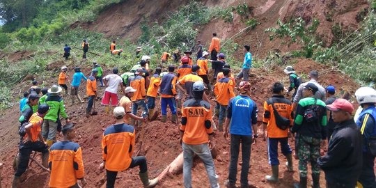 Tebing 50 meter longsor di Banjarnegara, satu hektar sawah rusak