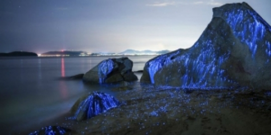Masya Allah... Pantai Ini Bersinar Saat Malam Hari