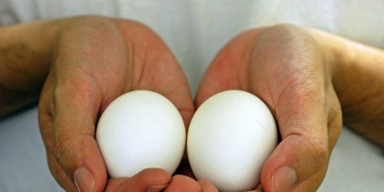 untuk vagina ada pula oplas untuk testikel rev1