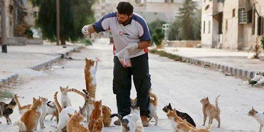 Manusia kucing Aleppo, bertahan di daerah konflik demi hewan-hewan