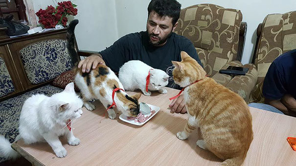 mohammad alaa aljaleel manusia kucing dari aleppo