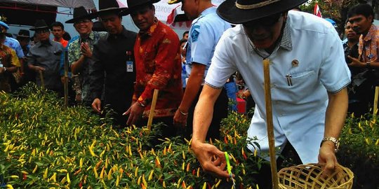 27 Napi Lapas Makassar hasilkan 200 Kg cabai dalam 4 bulan