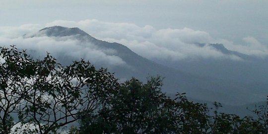 Malam 1 Suro, banyak pendaki Gunung lawu ingin ritual