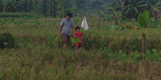 BPS: Kesejahteraan petani meningkat di September 2016