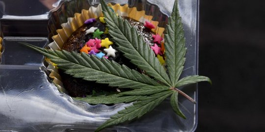 Terjaring razia, pria Sibolga kedapatan bawa 12 bal ganja