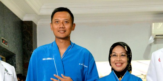 PPP tugaskan kader di DPR jadi komandan buat menangkan Agus-Sylvi