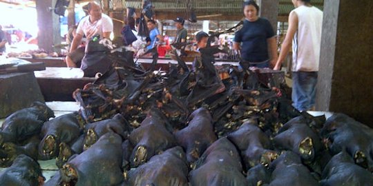 Stok daging di Pasar ekstrem Tomohon dipasok dari luar daerah