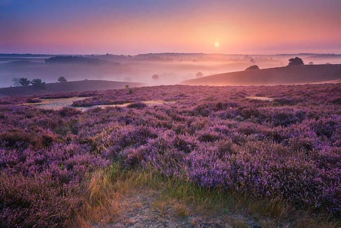 padang heather de posbank