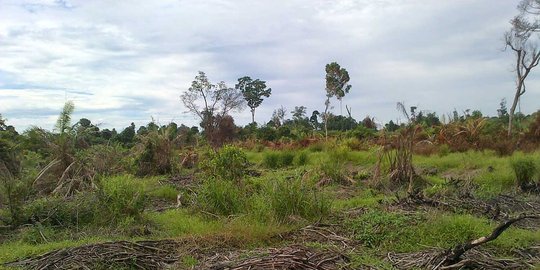 Penyelidikan lahan Cengkareng jalan di tempat?