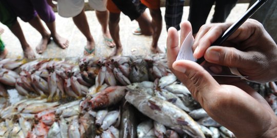 Sewa lahan naik, pengusaha ikan Muara Baru ancam gulung tikar