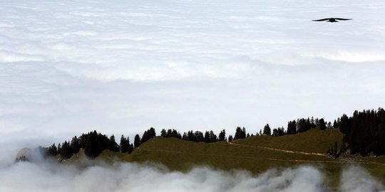 Fenomena menakjubkan kabut tebal tutupi Danau Thun