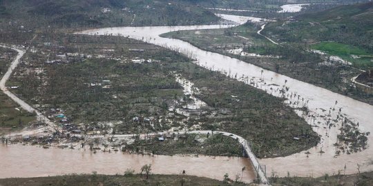 Keganasan Badai Matthew gunduli pepohonan Haiti