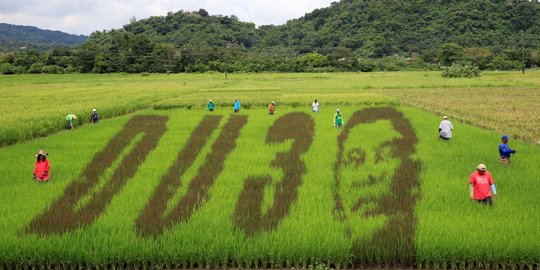 Keren, petani Filipina buat stensil wajah Duterte di sawah